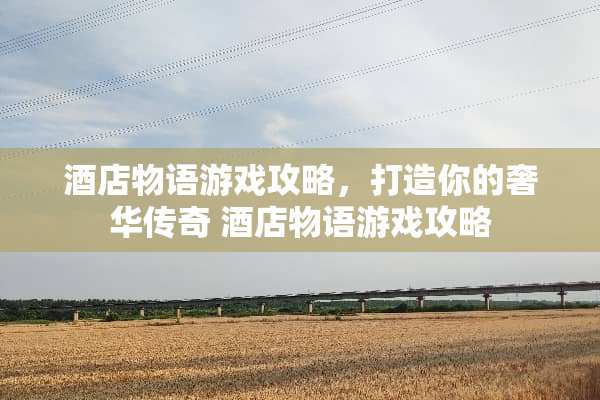 酒店物语游戏攻略，打造你的奢华传奇 酒店物语游戏攻略