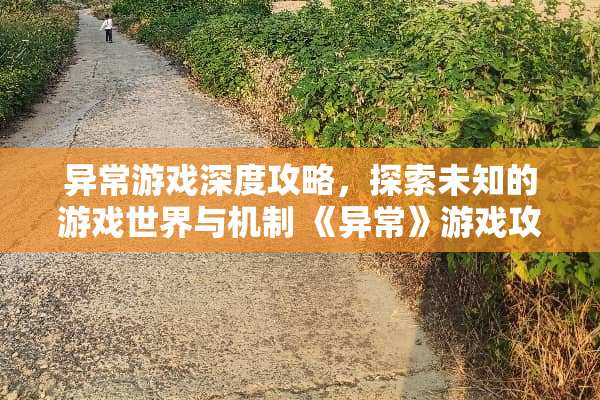 异常游戏深度攻略，探索未知的游戏世界与机制 《异常》游戏攻略