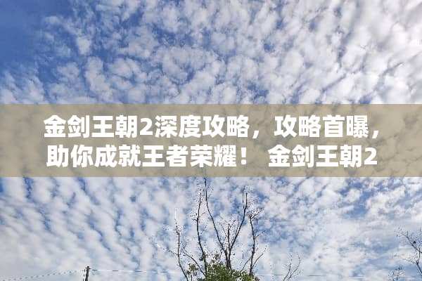 金剑王朝2深度攻略，攻略首曝，助你成就王者荣耀！ 金剑王朝2游戏攻略