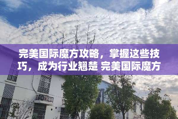完美国际魔方攻略，掌握这些技巧，成为行业翘楚 完美国际魔方攻略