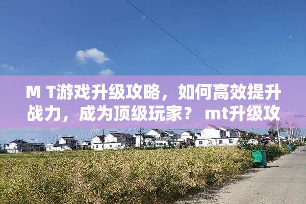 M T游戏升级攻略，如何高效提升战力，成为**玩家？ mt升级攻略