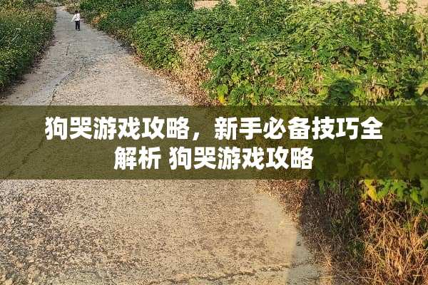 狗哭游戏攻略，新手必备技巧全解析 狗哭游戏攻略