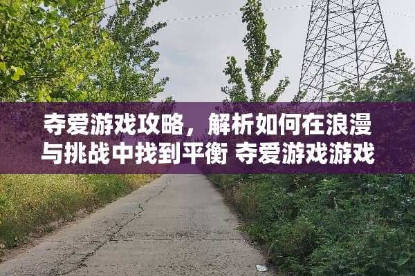**游戏攻略，解析如何在浪漫与挑战中找到平衡 **游戏游戏攻略