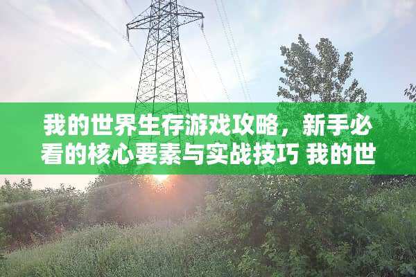 我的世界生存游戏攻略，新手必看的核心要素与实战技巧 我的世界生存游戏攻略