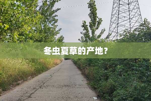 冬虫夏草的产地？