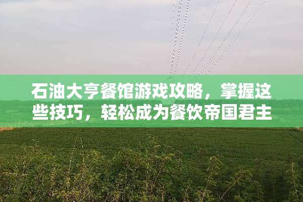 石油大亨餐馆游戏攻略，掌握这些技巧，轻松成为餐饮帝国君主 石油大亨餐馆游戏攻略