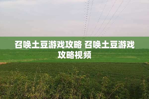召唤土豆游戏攻略 召唤土豆游戏攻略视频