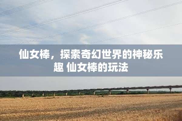 仙女棒，探索奇幻世界的神秘乐趣 仙女棒的玩法