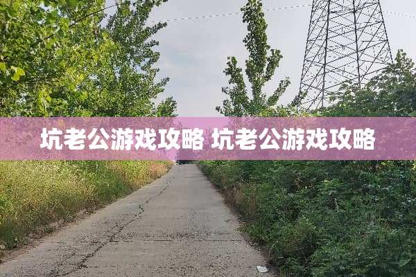 坑老公游戏攻略 坑老公游戏攻略