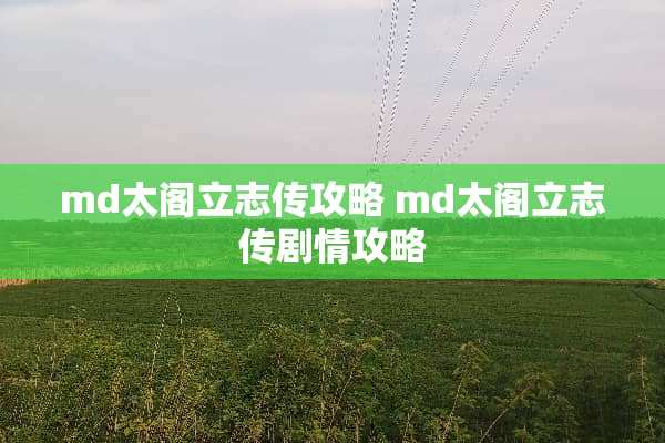 md太阁立志传攻略 md太阁立志传剧情攻略