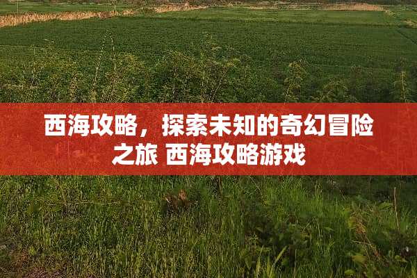 西海攻略，探索未知的奇幻冒险之旅 西海攻略游戏