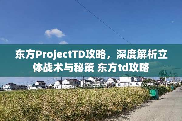 东方ProjectTD攻略，深度解析立体战术与秘策 东方td攻略