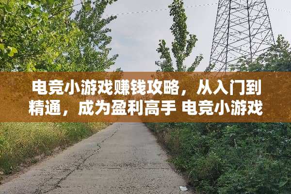 电竞小游戏赚钱攻略，从入门到精通，成为盈利高手 电竞小游戏赚钱攻略