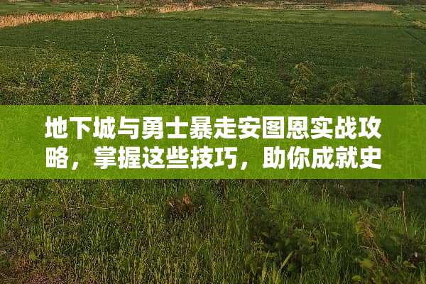 **城与勇士暴走安图恩实战攻略，掌握这些技巧，助你成就史诗级通关 暴走安图恩攻略