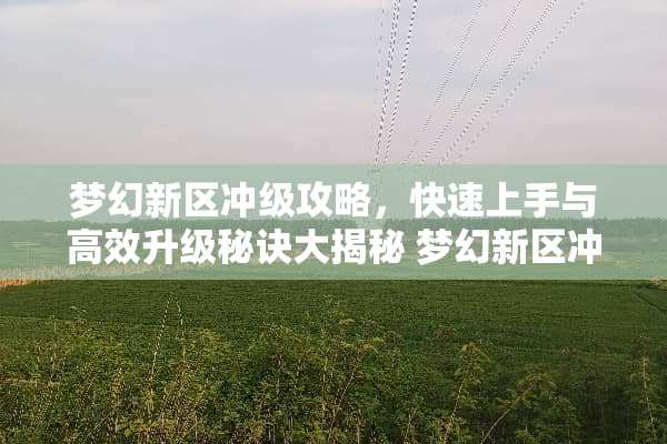 梦幻新区冲级攻略，快速上手与高效升级秘诀大揭秘 梦幻新区冲级攻略