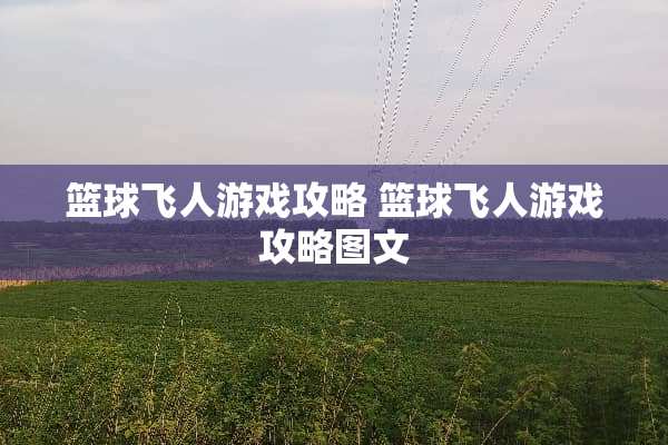 篮球飞人游戏攻略 篮球飞人游戏攻略图文