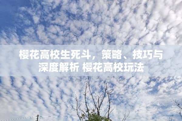樱花高校生死斗，策略、技巧与深度解析 樱花高校玩法