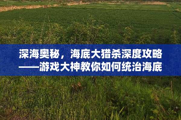 深海奥秘，海底大猎杀深度攻略——游戏大神教你如何统治海底世界 游戏大神海底大猎杀攻略