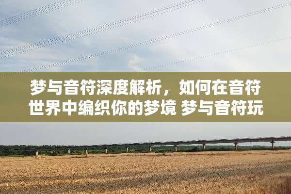梦与音符深度解析，如何在音符世界中编织你的梦境 梦与音符玩法