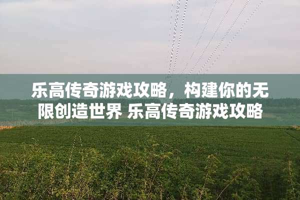 乐高传奇游戏攻略，构建你的无限创造世界 乐高传奇游戏攻略