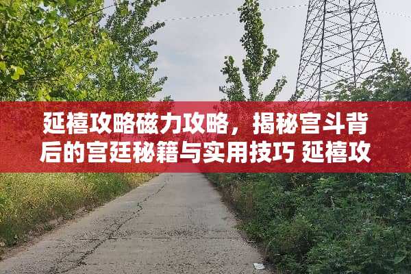 延禧攻略磁力攻略，揭秘宫斗背后的宫廷秘籍与实用技巧 延禧攻略磁力