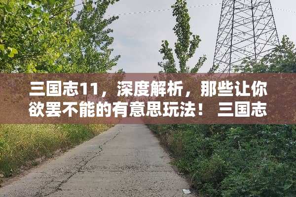 三国志11，深度解析，那些让你欲罢不能的有意思玩法！ 三国志11有意思的玩法