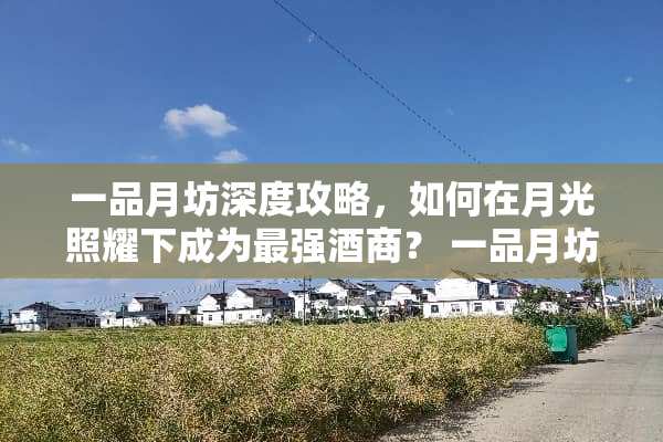 一品月坊深度攻略，如何在月光照耀下成为最强酒商？ 一品月坊攻略