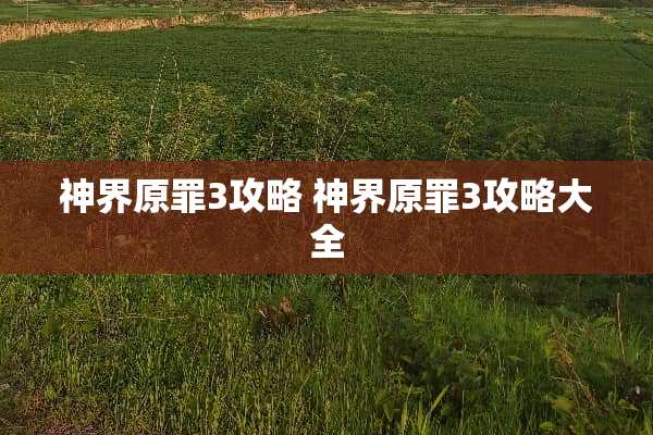 神界原罪3攻略 神界原罪3攻略大全
