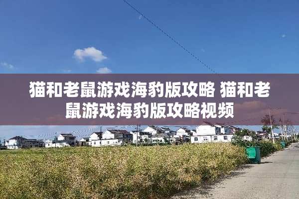 猫和老鼠游戏海豹版攻略 猫和老鼠游戏海豹版攻略视频