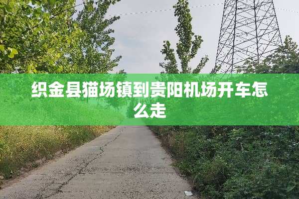 织金县猫场镇到贵阳机场开车怎么走