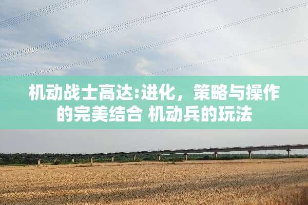 机动战士高达:进化，策略与操作的完美结合 机动兵的玩法