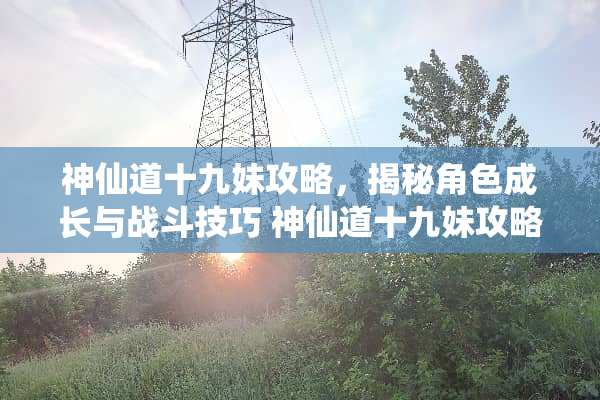神仙道十九妹攻略，揭秘角色成长与战斗技巧 神仙道十九妹攻略