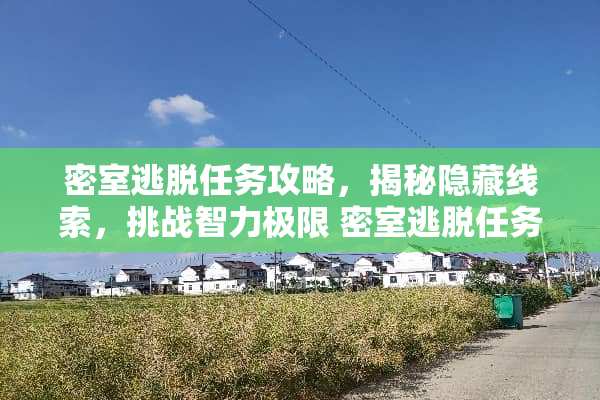 密室逃脱任务攻略，揭秘隐藏线索，挑战智力极限 密室逃脱任务攻略