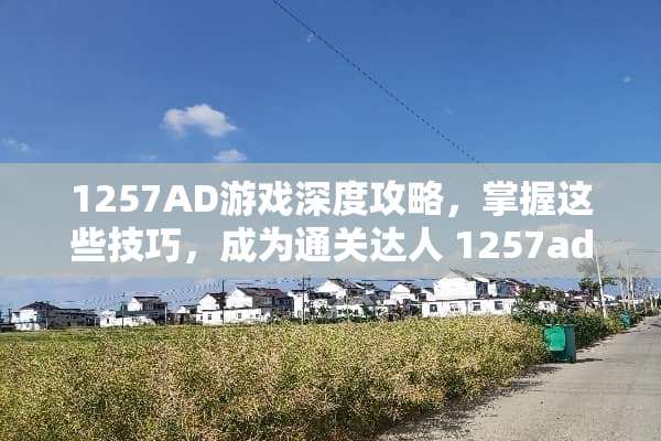 1257AD游戏深度攻略，掌握这些技巧，成为通关达人 1257ad攻略