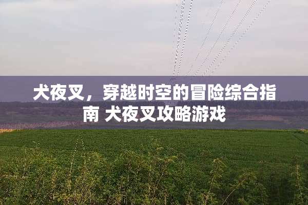 犬夜叉，穿越时空的冒险综合指南 犬夜叉攻略游戏