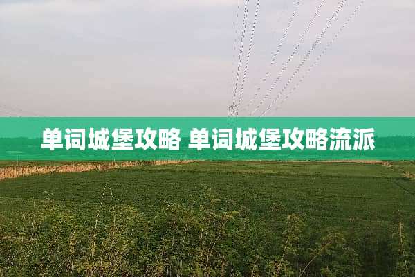单词城堡攻略 单词城堡攻略流派