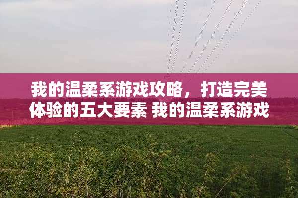 我的温柔系游戏攻略，打造完美体验的五大要素 我的温柔系游戏攻略