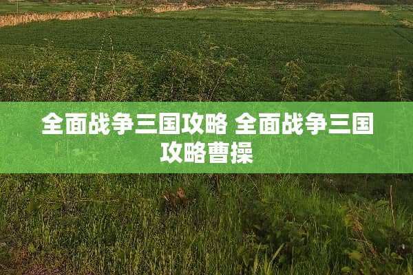 全面战争三国攻略 全面战争三国攻略曹操