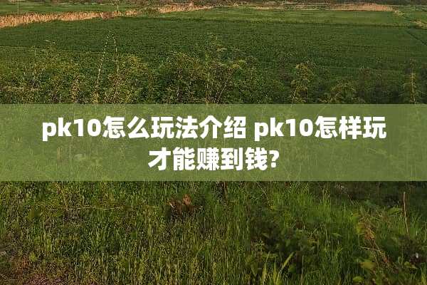 pk10怎么玩法介绍 pk10怎样玩才能赚到钱?