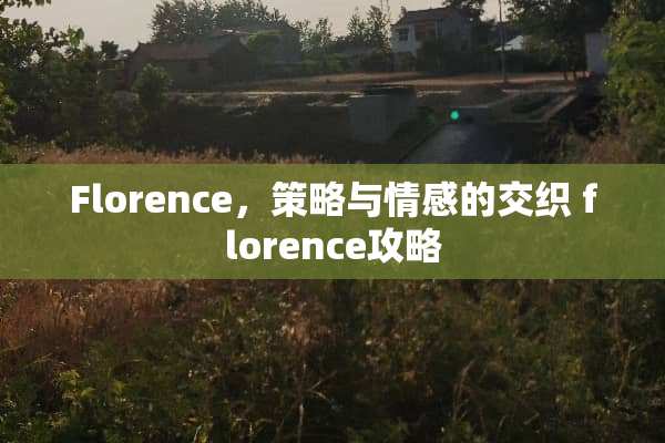 Florence，策略与情感的交织 florence攻略