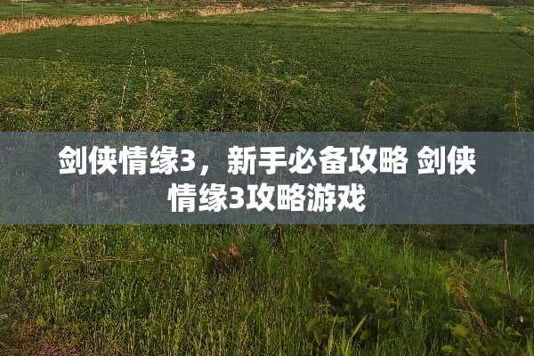剑侠情缘3，新手必备攻略 剑侠情缘3攻略游戏