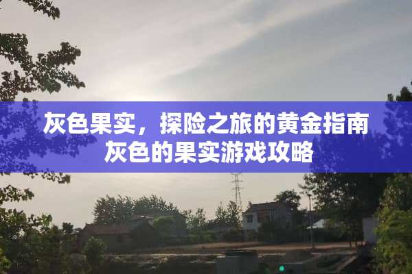 灰色果实，探险之旅的黄金指南 灰色的果实游戏攻略