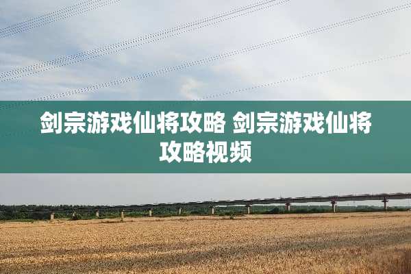 剑宗游戏仙将攻略 剑宗游戏仙将攻略视频
