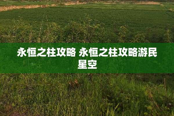 永恒之柱攻略 永恒之柱攻略游民星空