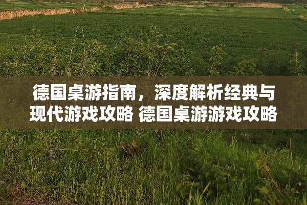 德国桌游指南，深度解析经典与现代游戏攻略 德国桌游游戏攻略