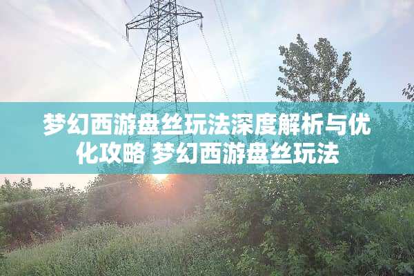 梦幻西游盘丝玩法深度解析与优化攻略 梦幻西游盘丝玩法