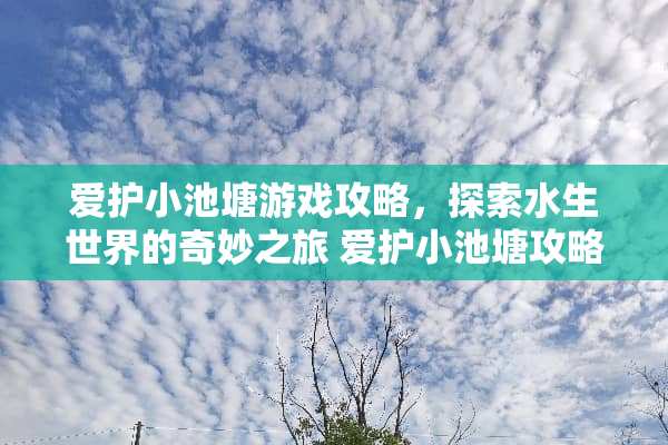 爱护小池塘游戏攻略，探索水生世界的奇妙之旅 爱护小池塘攻略游戏