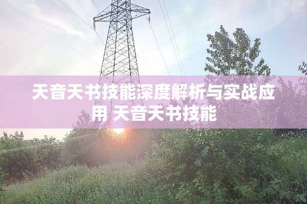天音天书技能深度解析与实战应用 天音天书技能