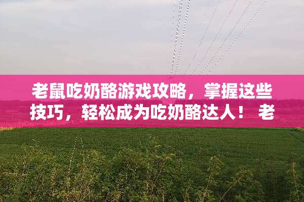 老鼠吃奶酪游戏攻略，掌握这些技巧，轻松成为吃奶酪达人！ 老鼠吃奶酪游戏攻略