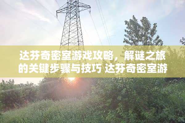 达芬奇密室游戏攻略，解谜之旅的关键步骤与技巧 达芬奇密室游戏攻略